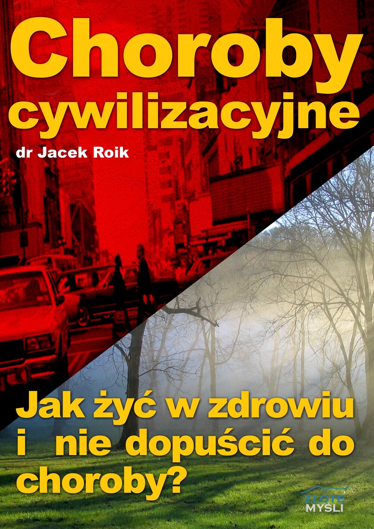 Choroby cywilizacyjne (e-book)