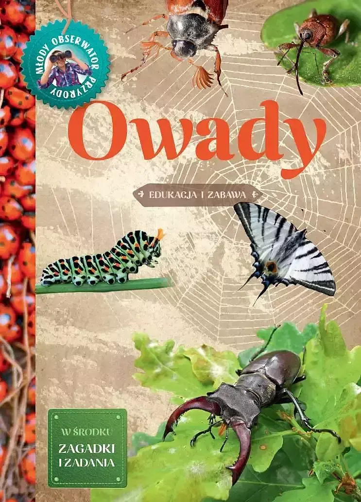Owady. Młody obserwator przyrody