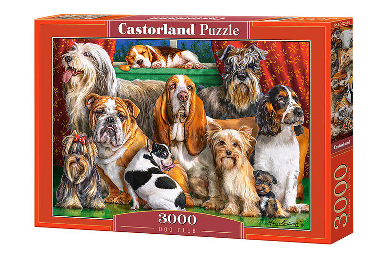 Puzzle 3000 klub psa c-300501-2