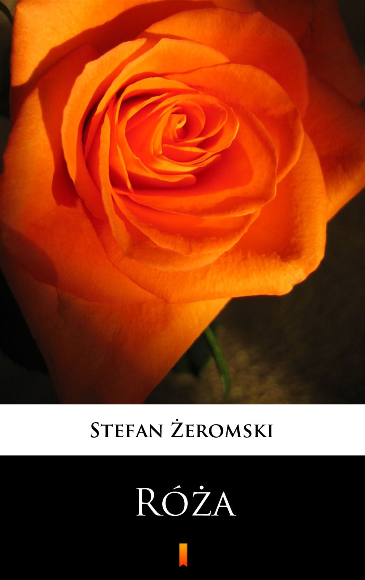 Róża (e-book)