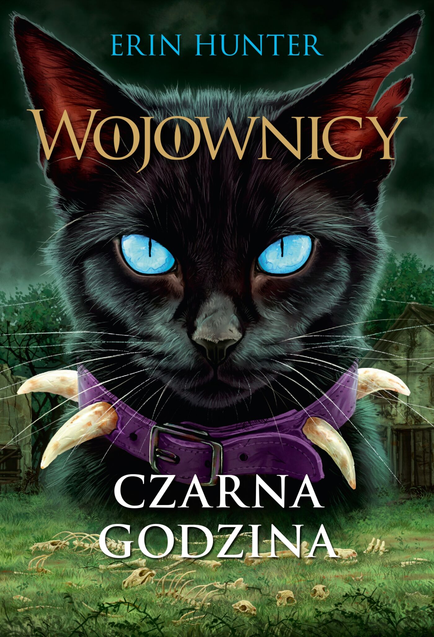 Czarna godzina, Wojownicy, Tom VI (audiobook MP3)