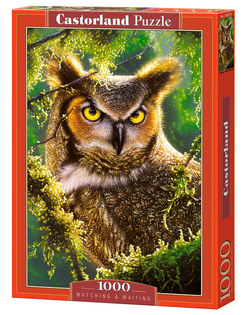 Puzzle Watching &Waiting 1000