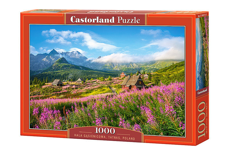 Puzzle Hala Gąsienicowa, Tatras, Poland 1000