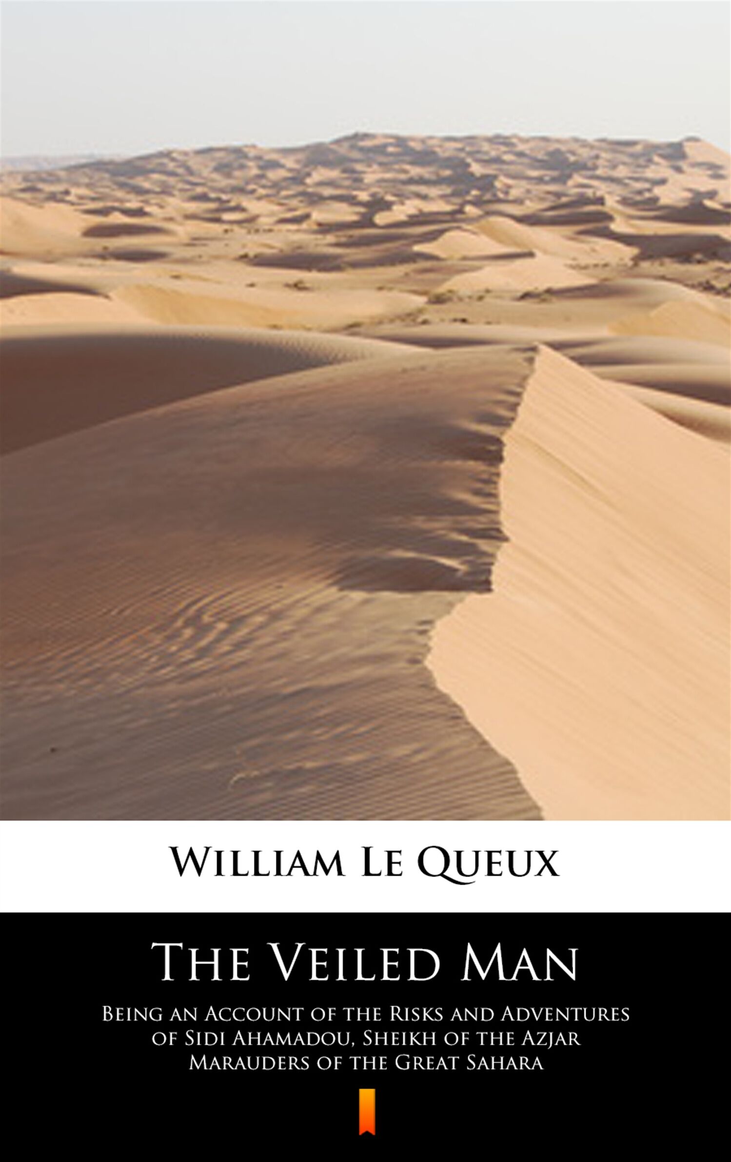 The Veiled Man (e-book)