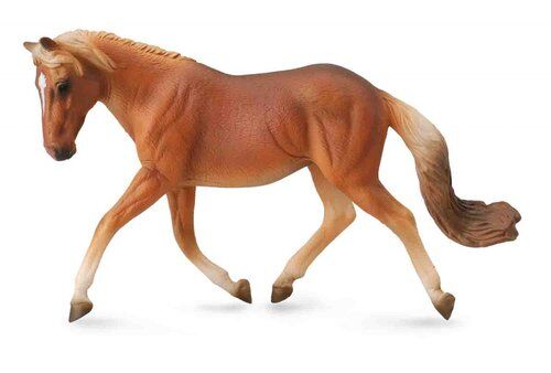 Klacz haflinger