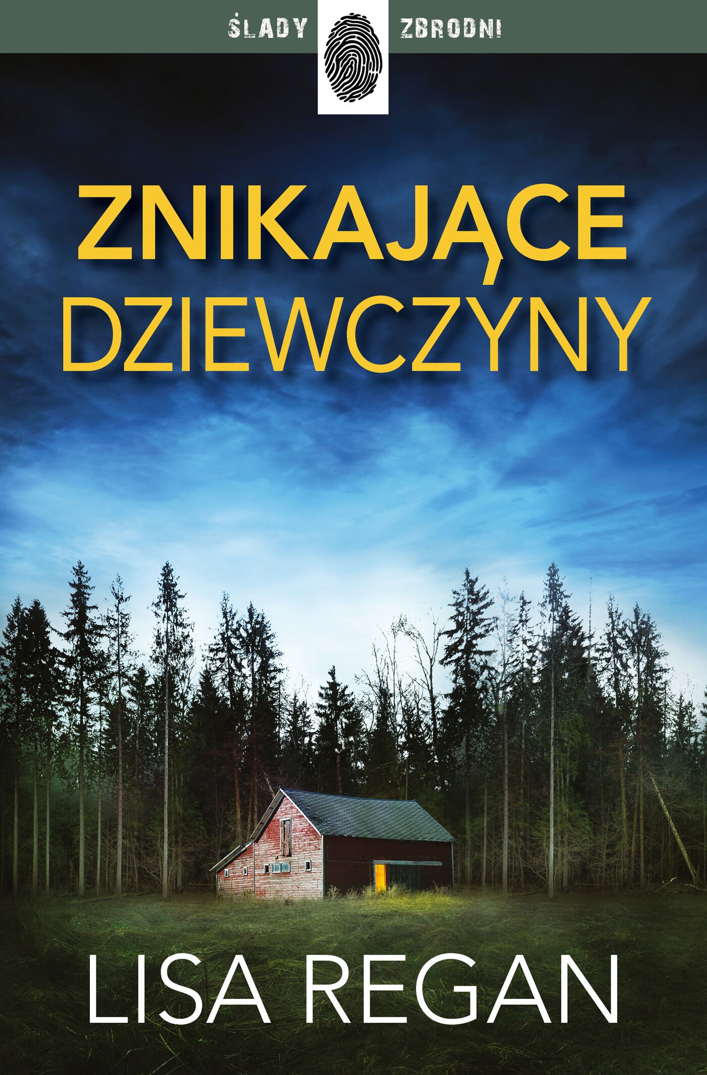 Znikające dziewczyny (e-book)