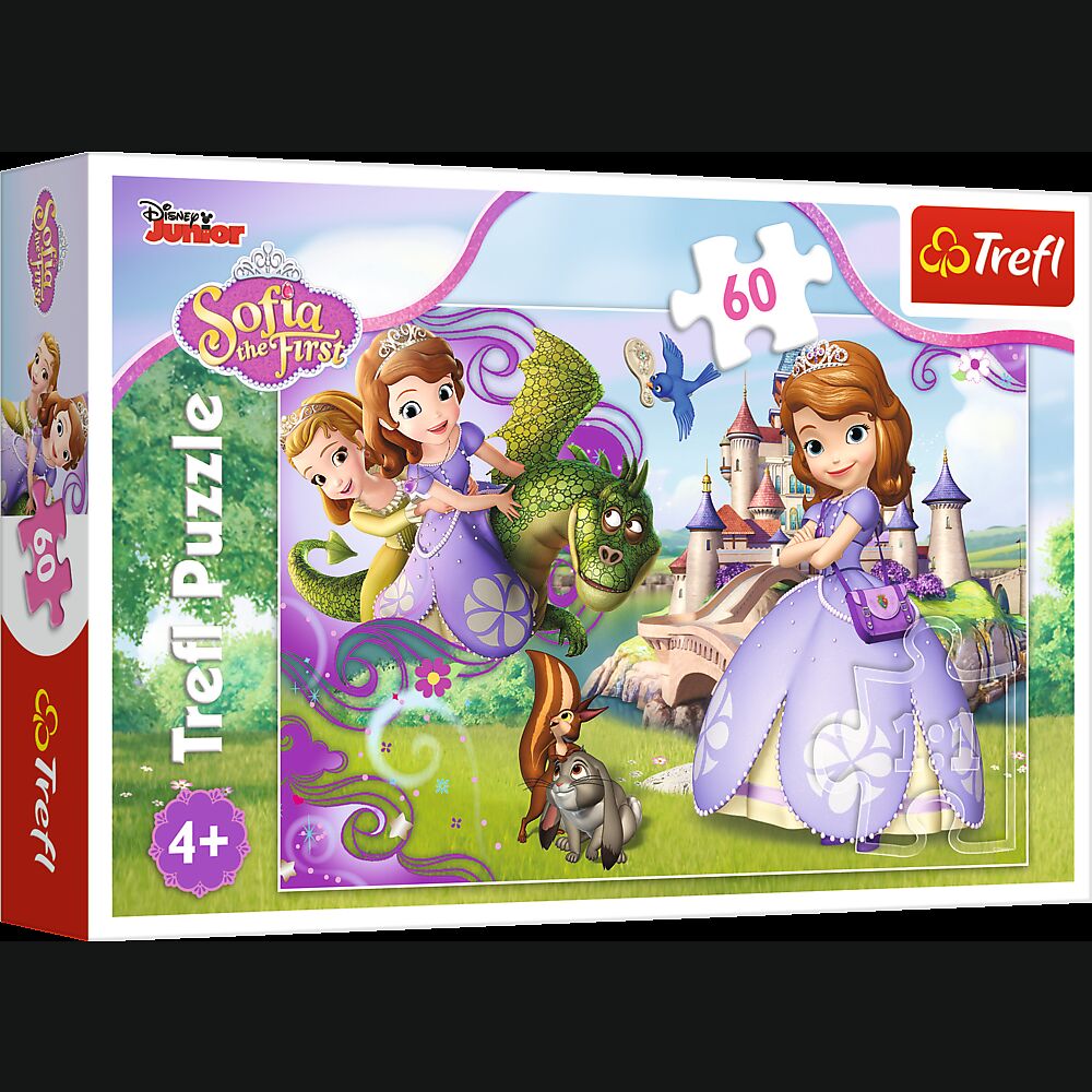Puzzle 60 Przygody księżniczki Zosi 17313