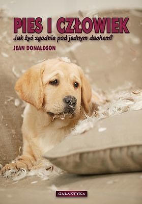 Pies i człowiek. Jak żyć zgodnie pod jednym dachem?