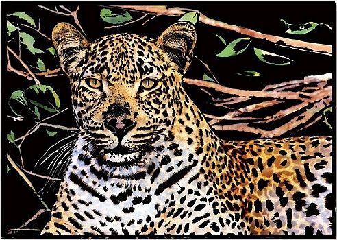 Magiczna zdrapka leopard