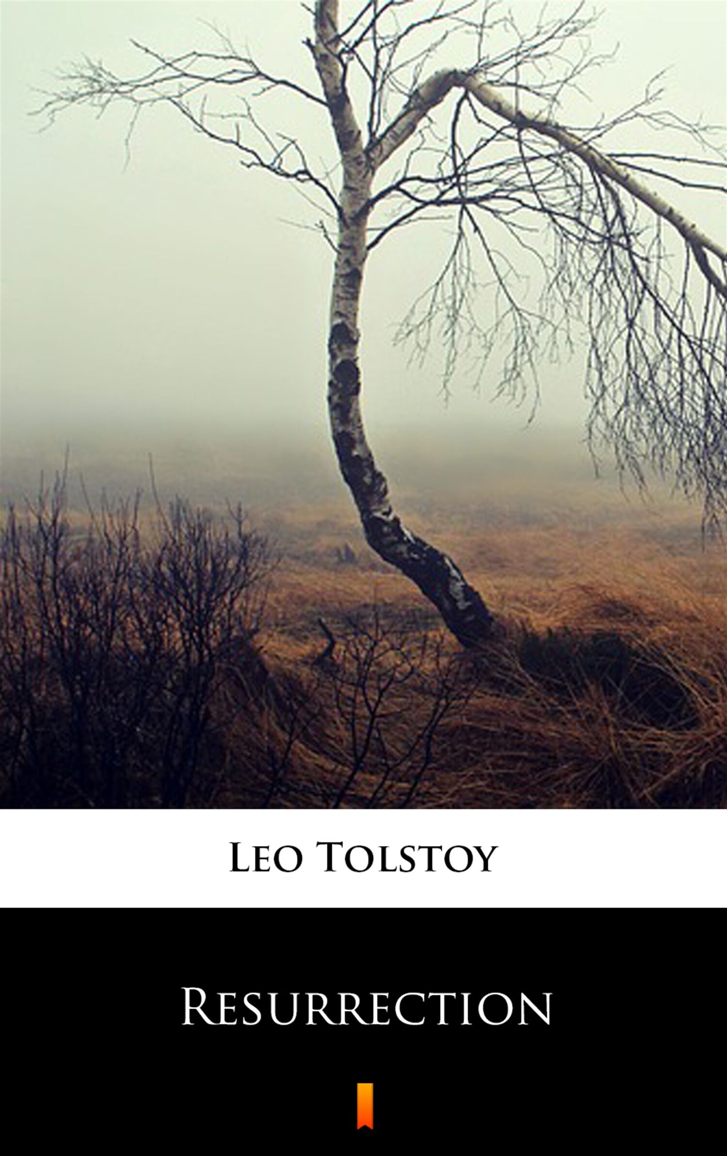 Resurrection (e-book)