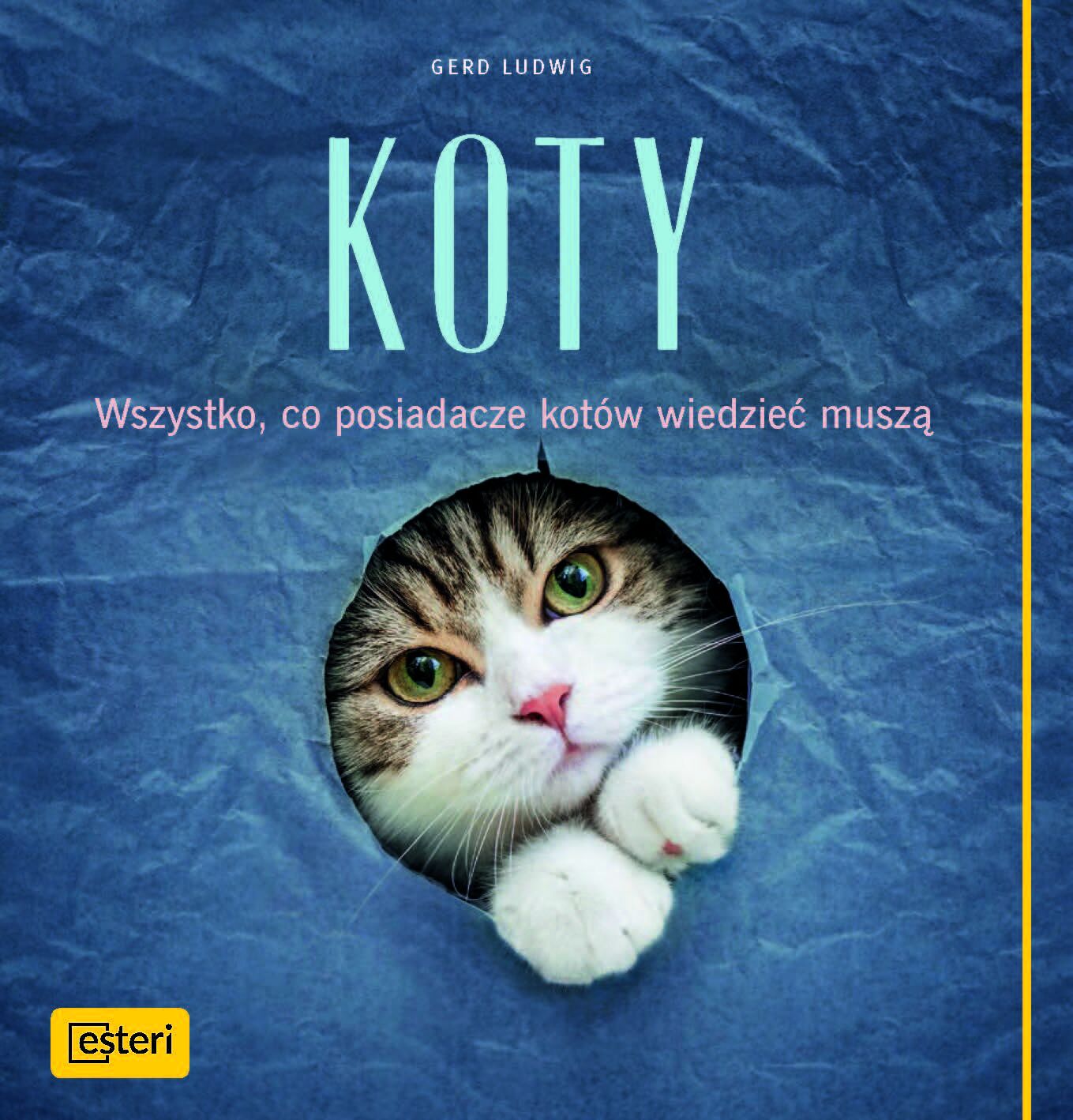 Koty wszystko co posiadacze kotów wiedzieć muszą