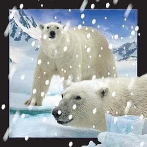 Magnes 3d niedźwiedzie polarne w śniegu