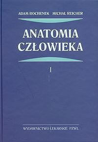 Anatomia człowieka. Tom 1