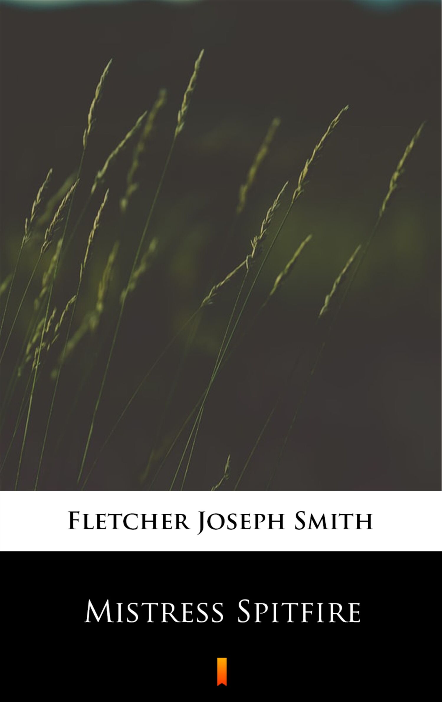 Mistress Spitfire (e-book)