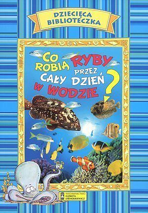 Co robią ryby przez cały dzień w wodzie?