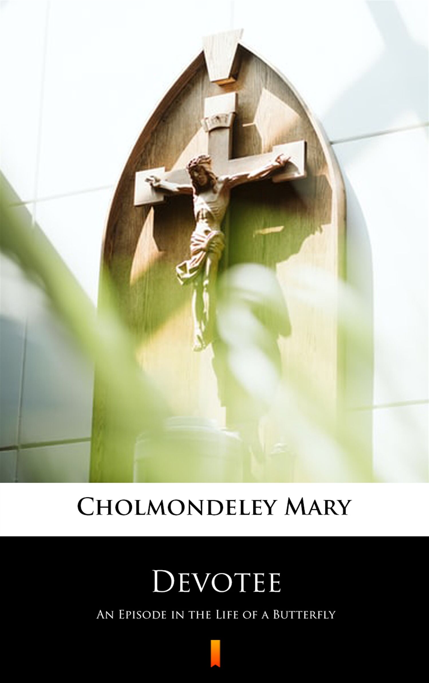 Devotee (e-book)