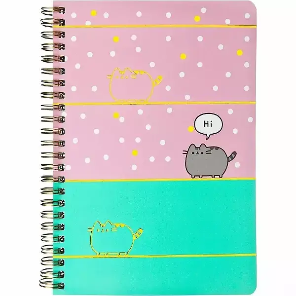 Kołonotes pusheen push0597