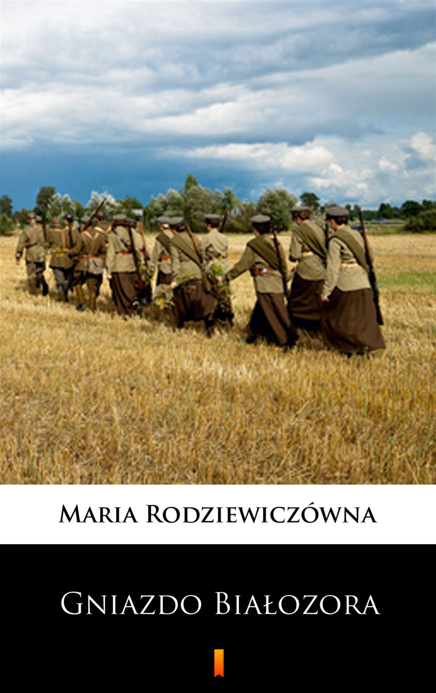 Gniazdo Białozora (e-book)