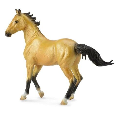Klacz Akhal-Teke Mare Buckskin
