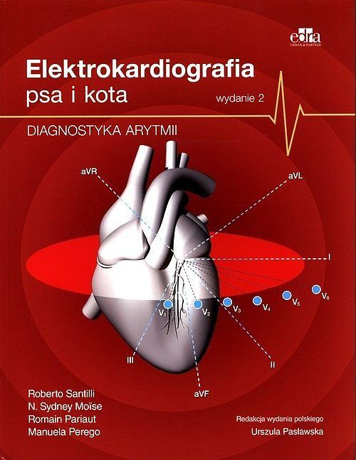 Elektrokardiografia psów i kotów Diagnostyka arytmii