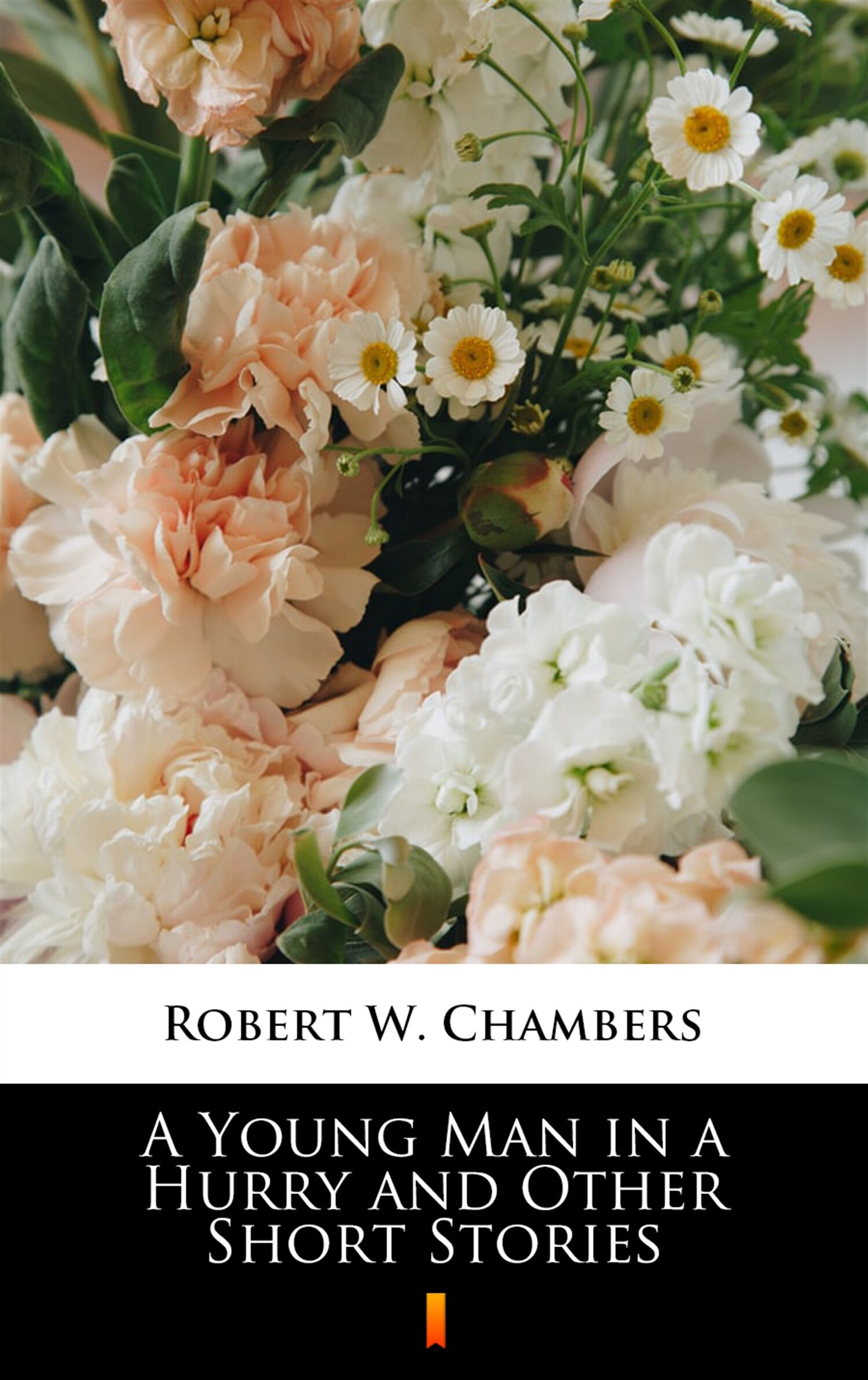 A Young Man in a Hurry and Other Short Stories (e-book)