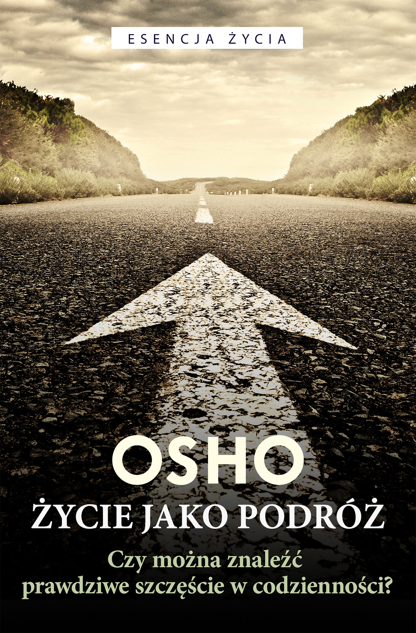 Życie jako podróż (e-book)