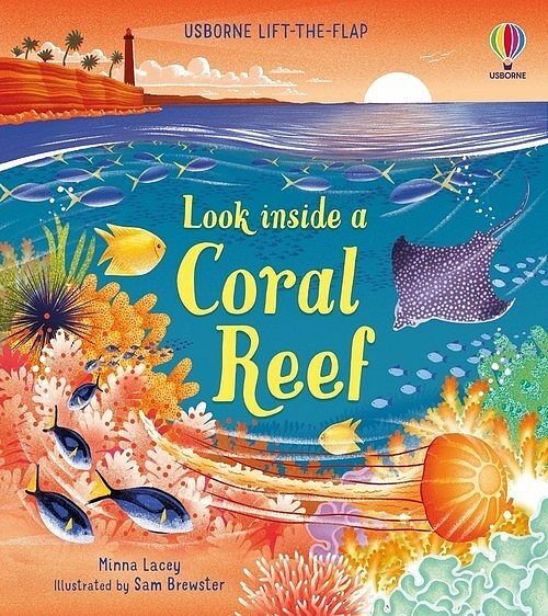 Look inside a Coral Reef
