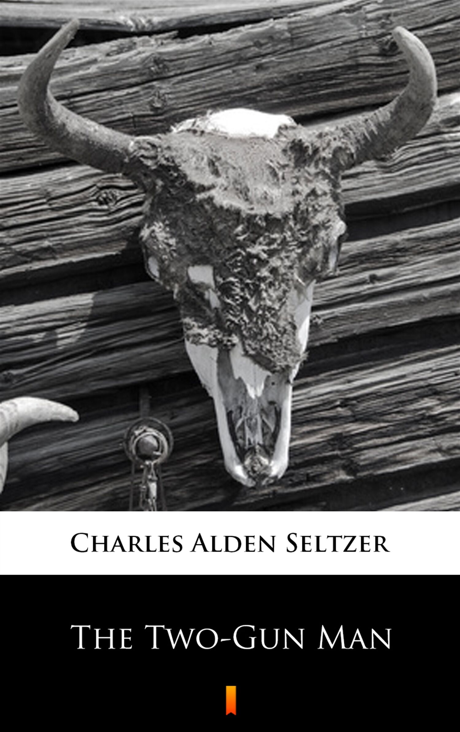 The Two-Gun Man (e-book)