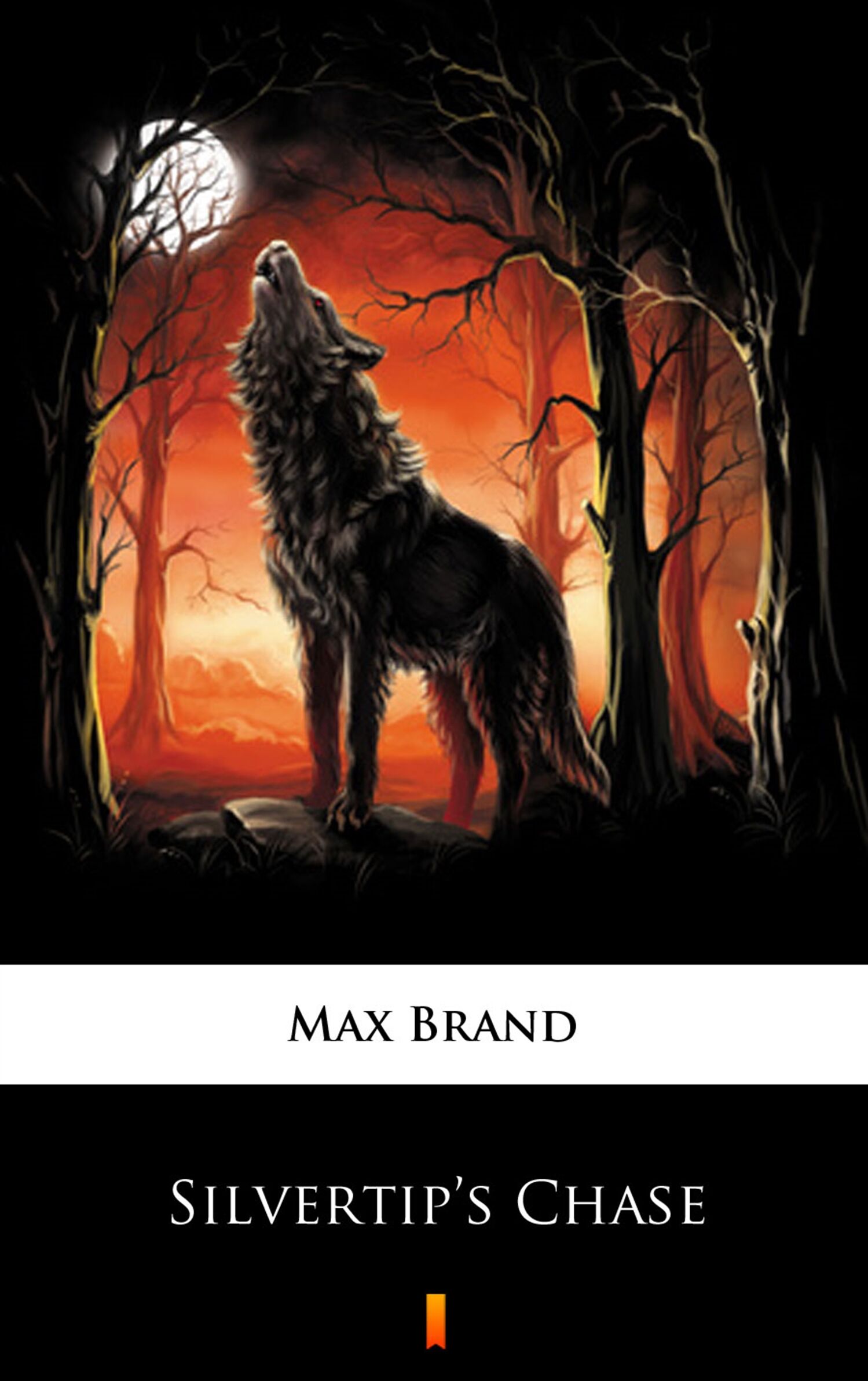 Silvertip’s Chase (e-book)