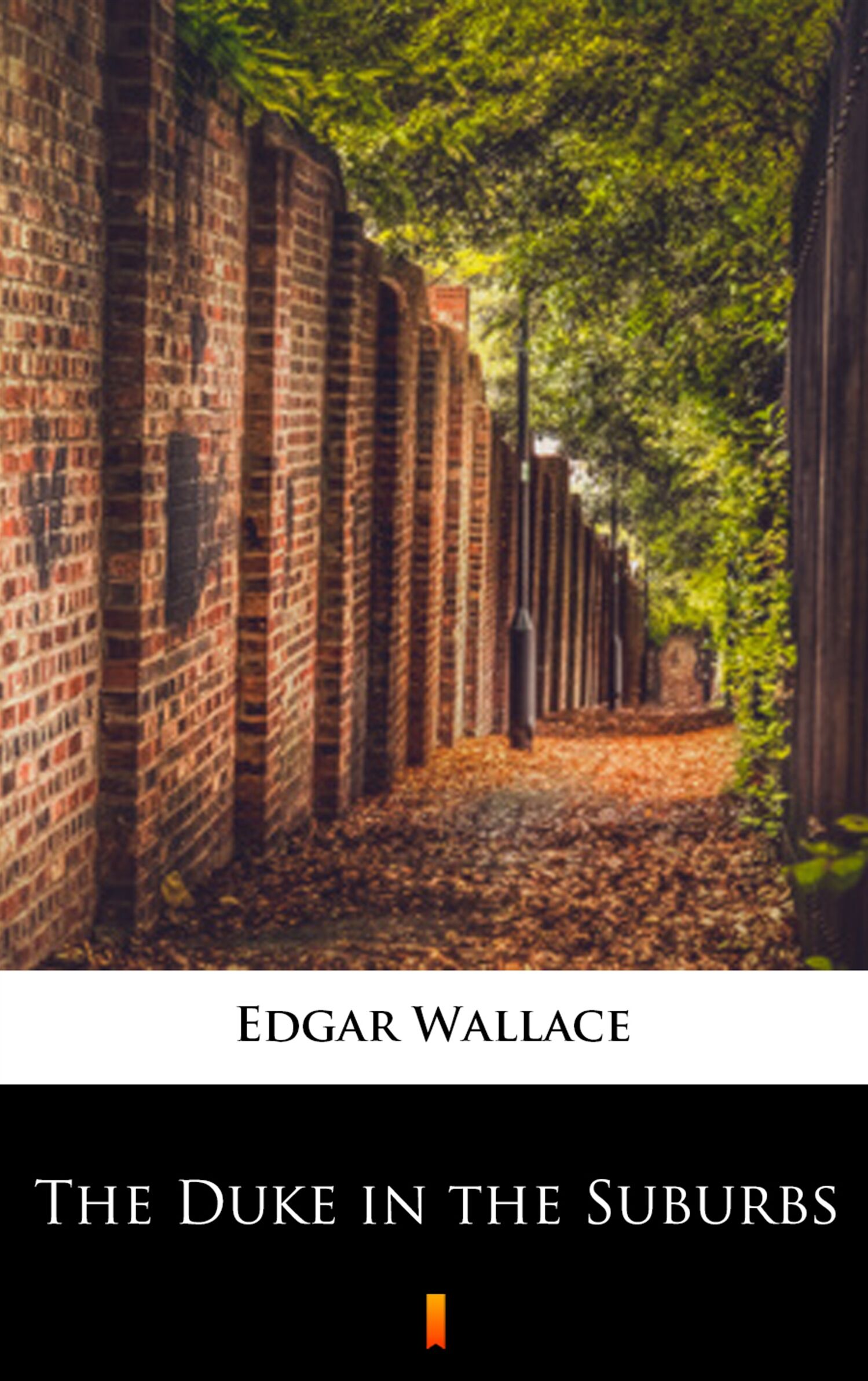 The Duke in the Suburbs (e-book)