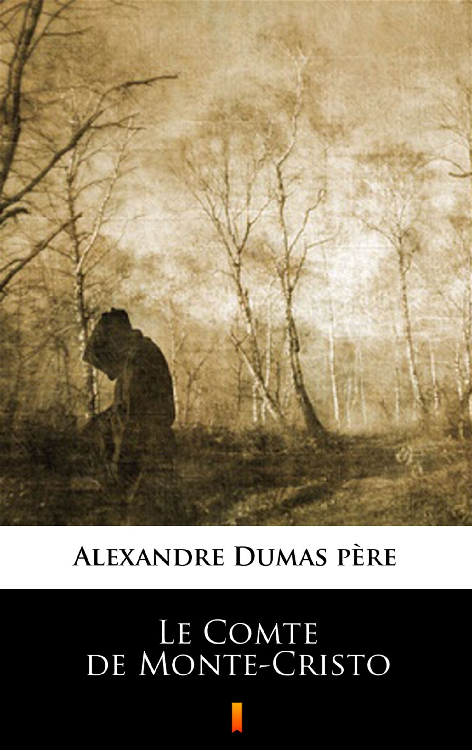Le Comte de Monte-Cristo (e-book)
