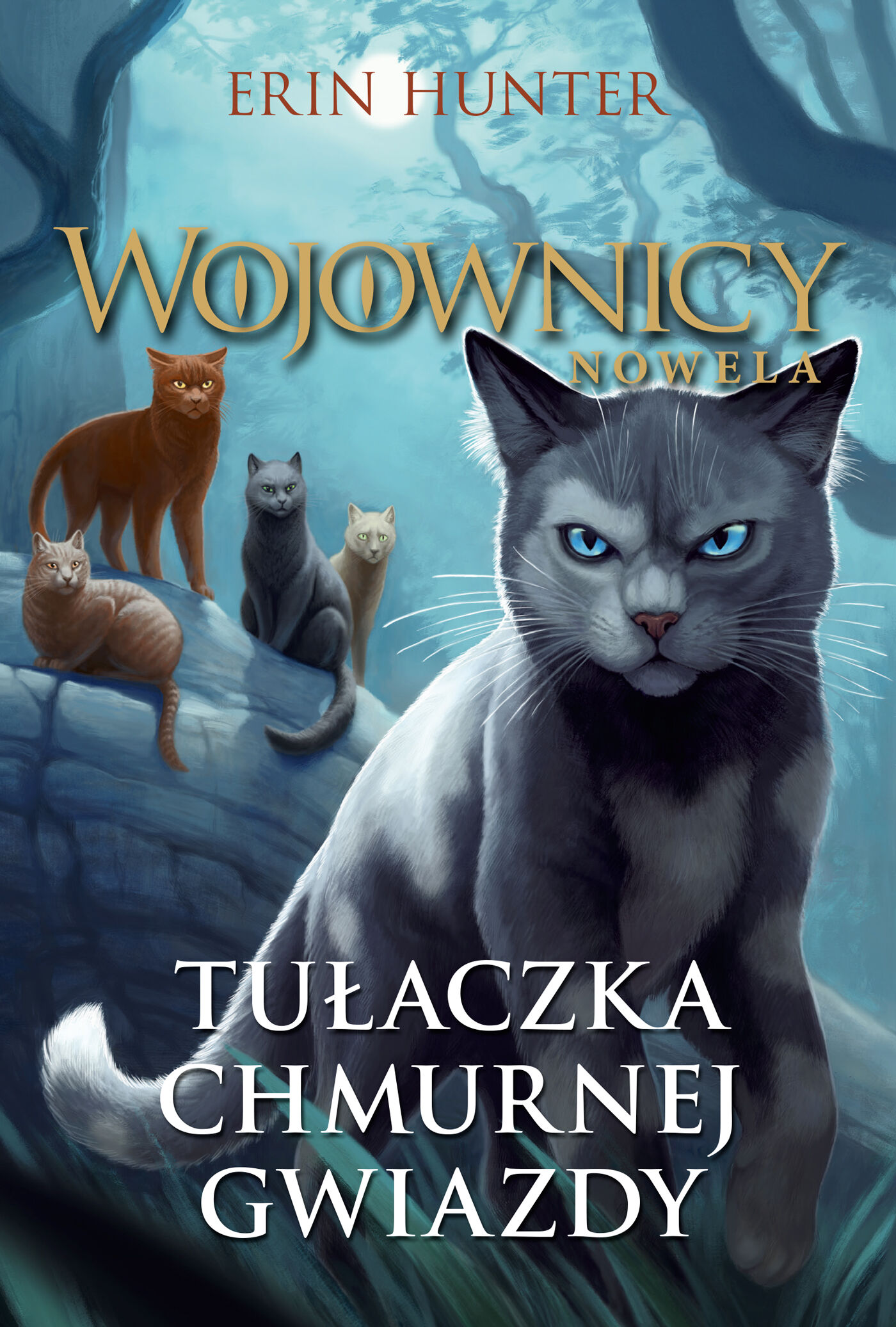 Tułaczka Chmurnej Gwiazdy (WOJOWNICY. NOWELA III) /NB/