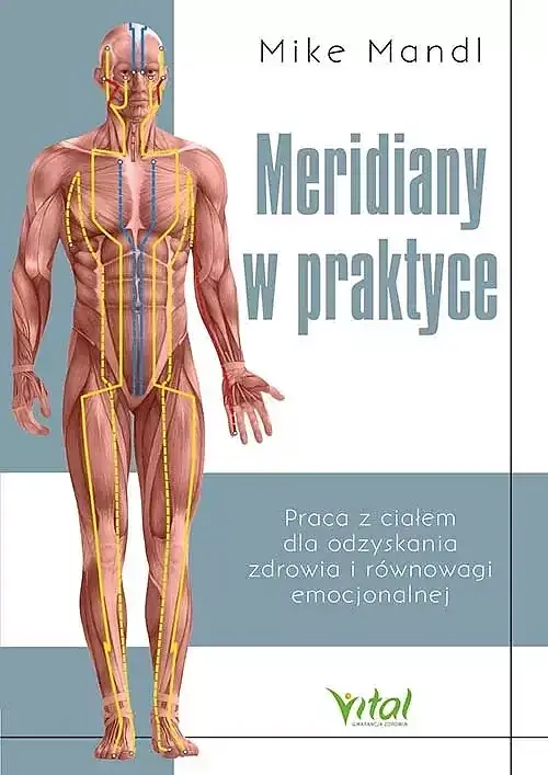 Meridiany w praktyce