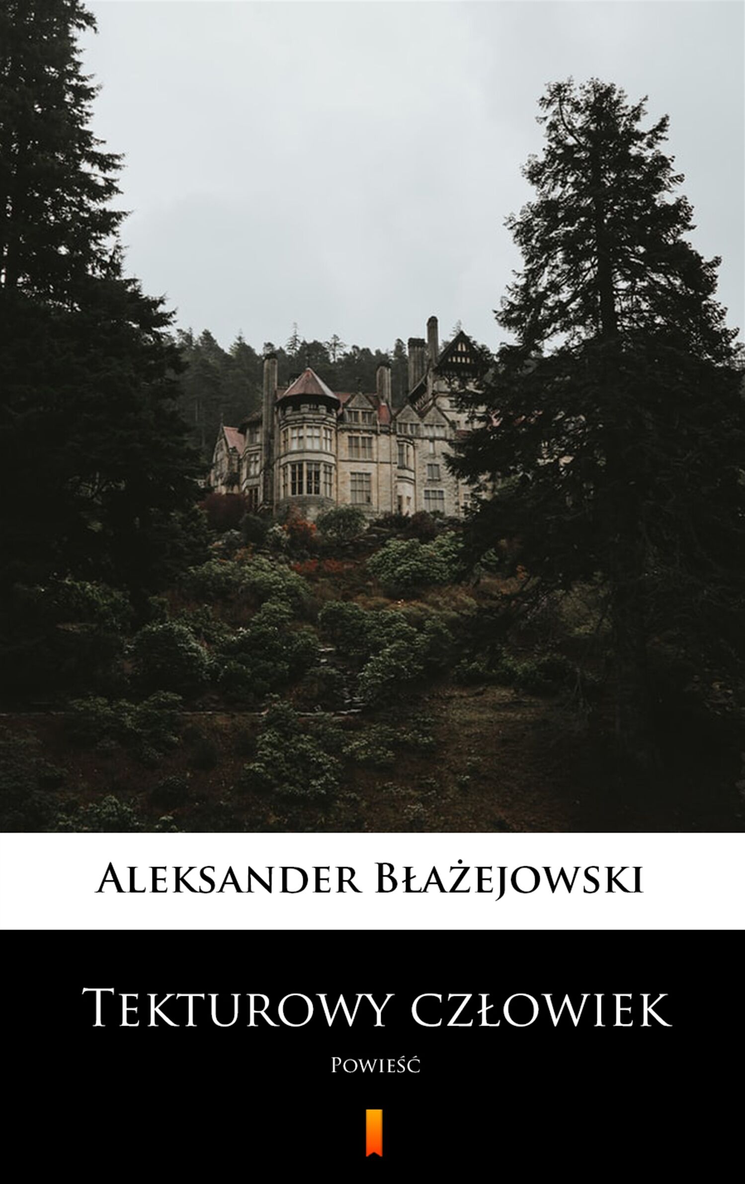 Tekturowy człowiek (e-book)