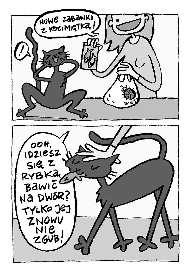 Ziniarnia: Archiwum