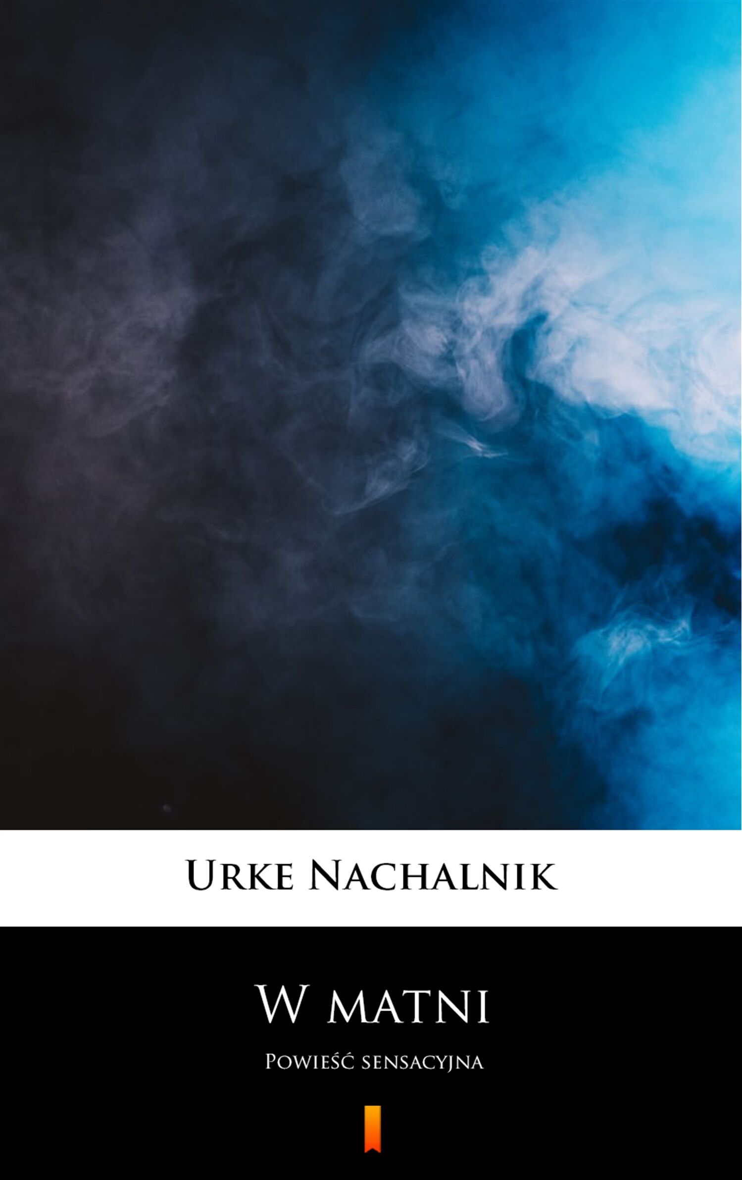 W matni (e-book)