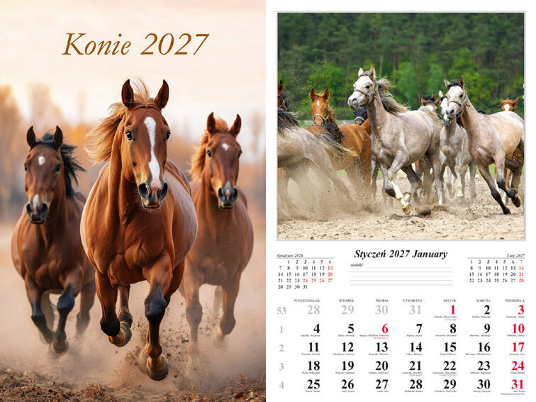 Kalendarz 2027 ścienny 13-k Konie