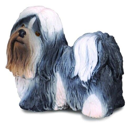 Pies rasy Shih Tzu