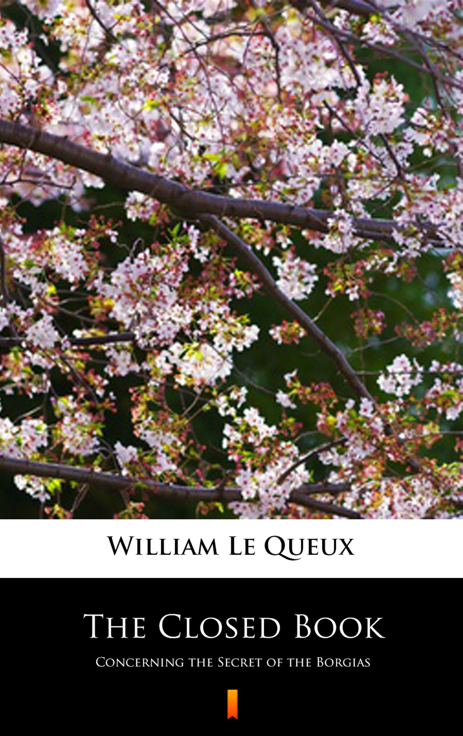 The Closed Book (e-book)