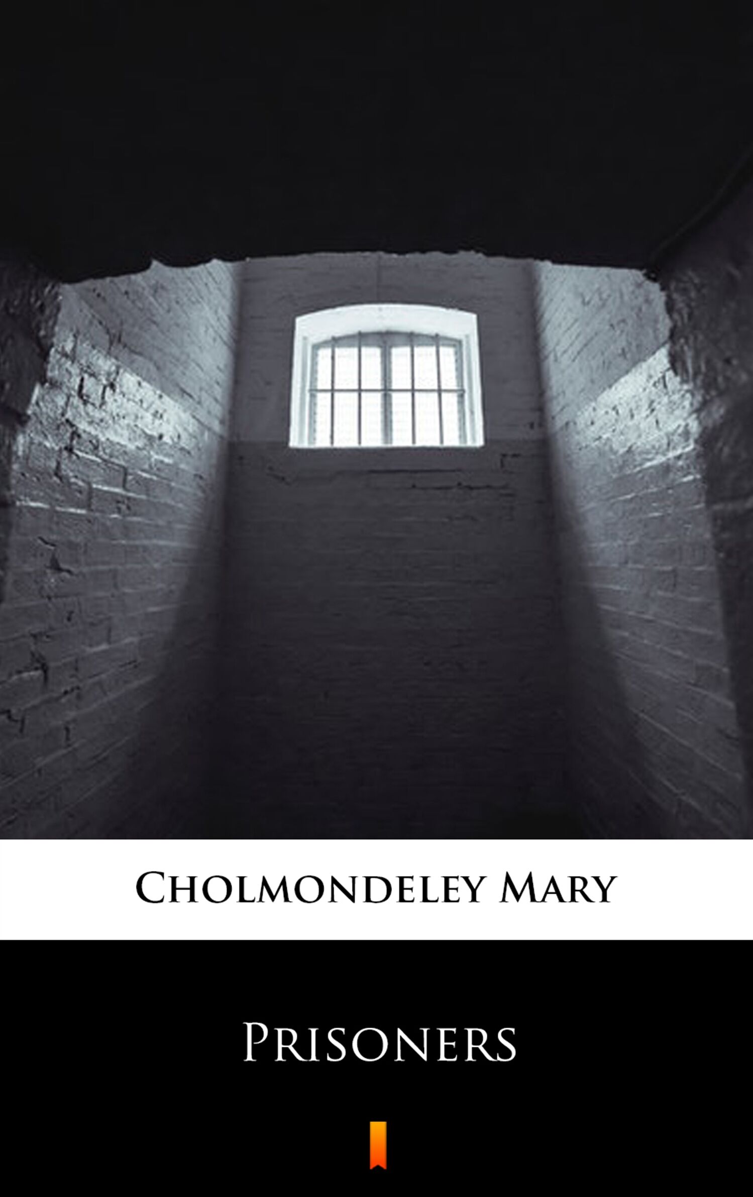Prisoners (e-book)