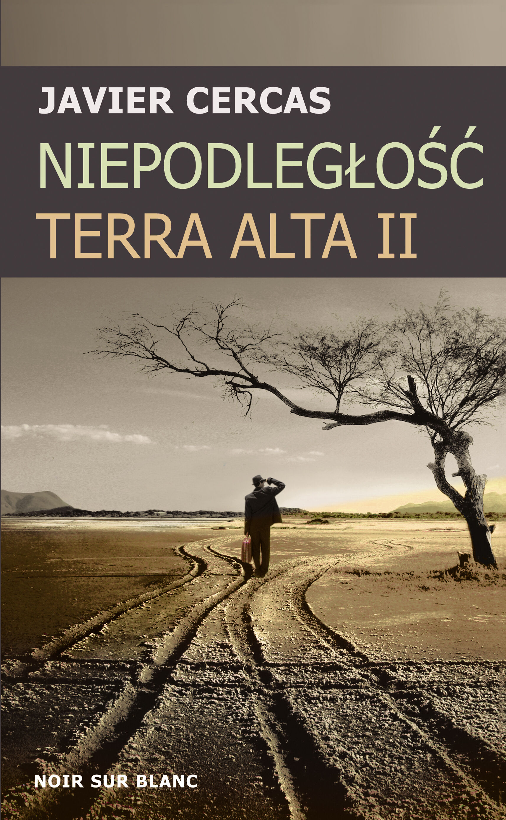 Niepodległość (e-book)