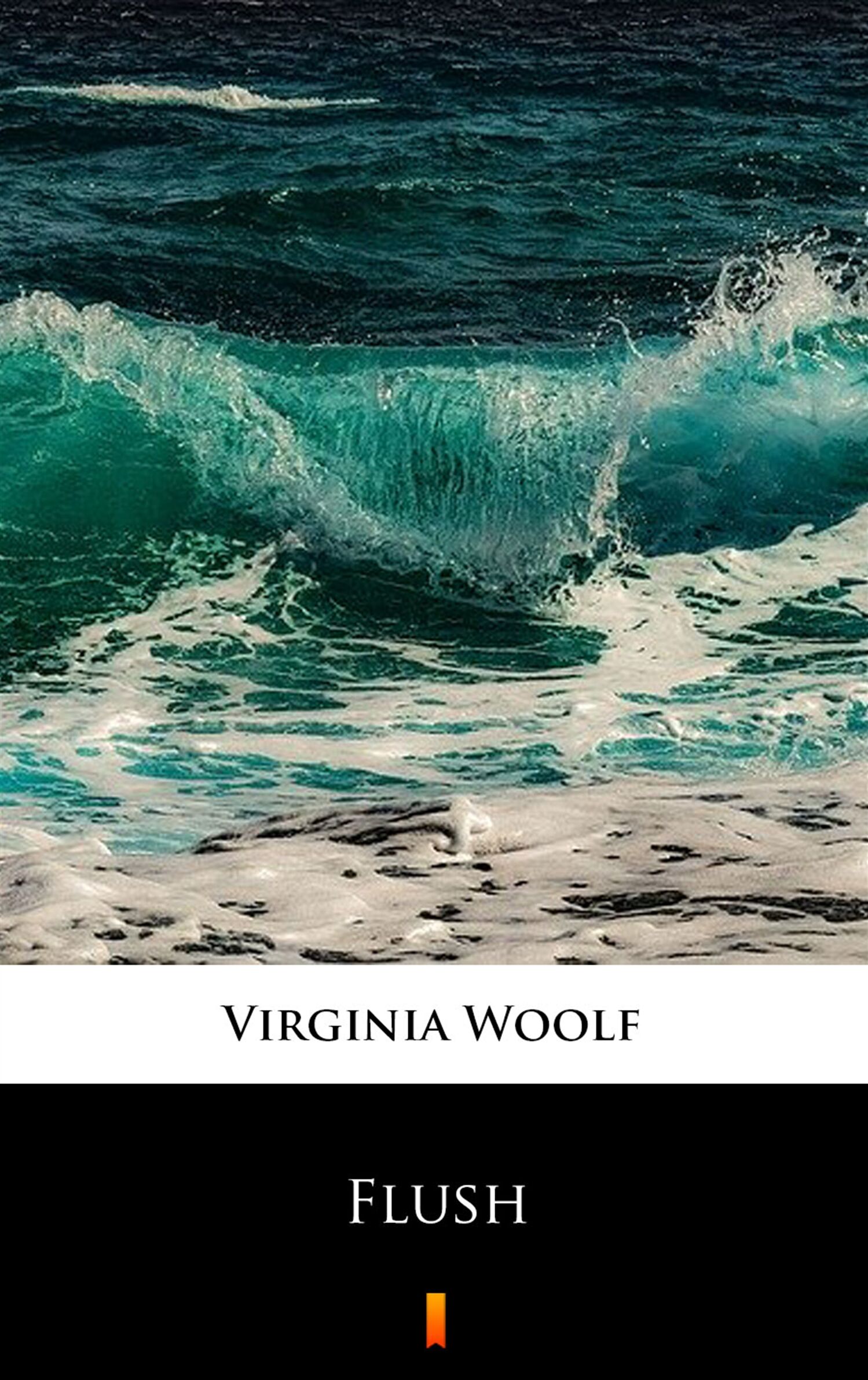 Flush (e-book)