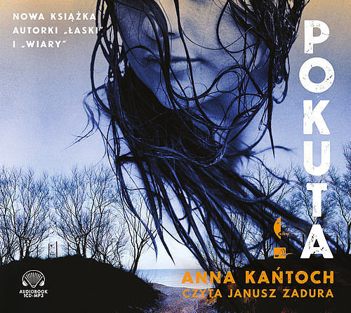 Pokuta (audiobook CD)