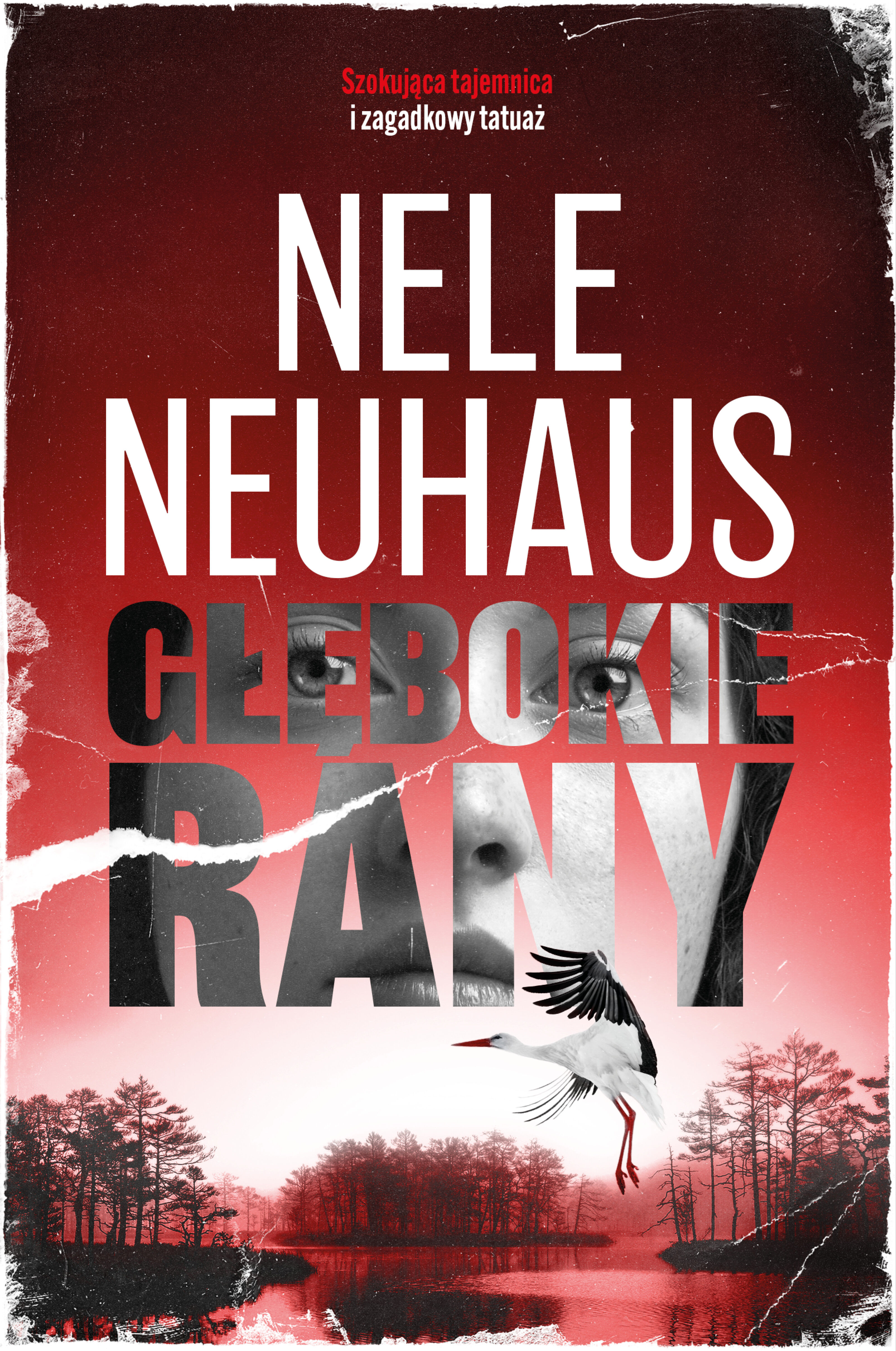Głębokie rany (e-book)