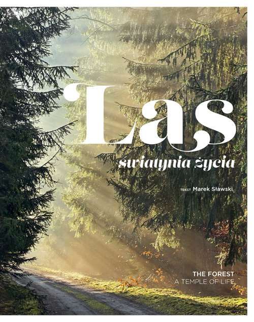 Las świątynia życia