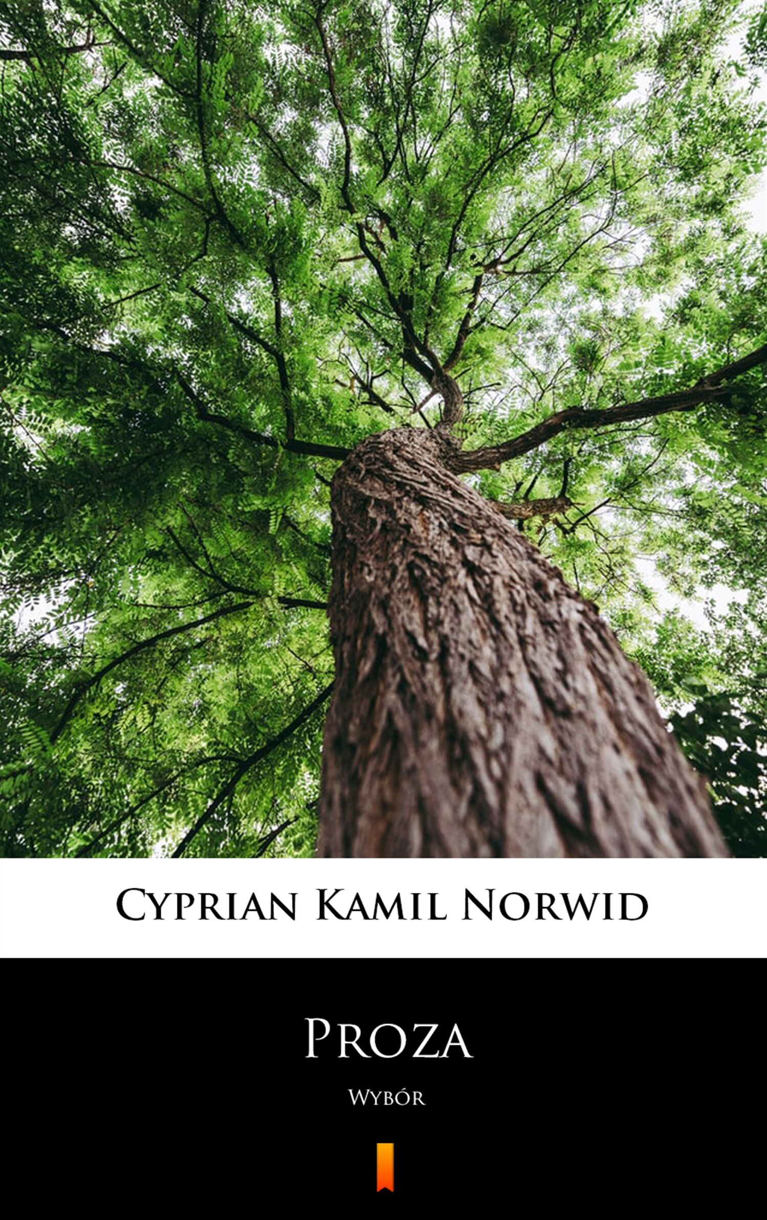 Proza (e-book)
