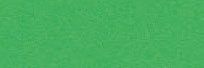 Brystol kolorowy happy color 170g a3 25 arkuszy zielony