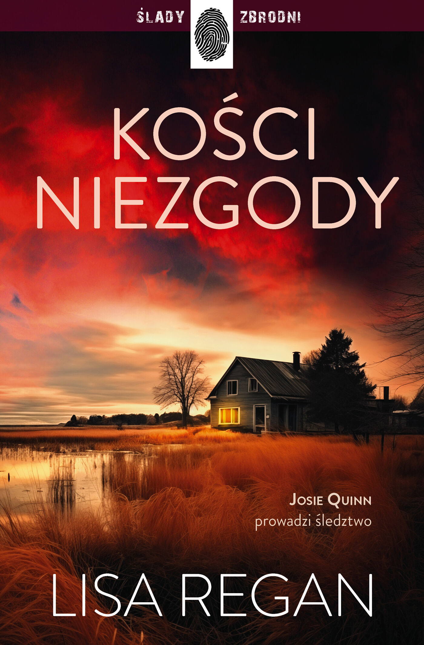 Kości niezgody (e-book)