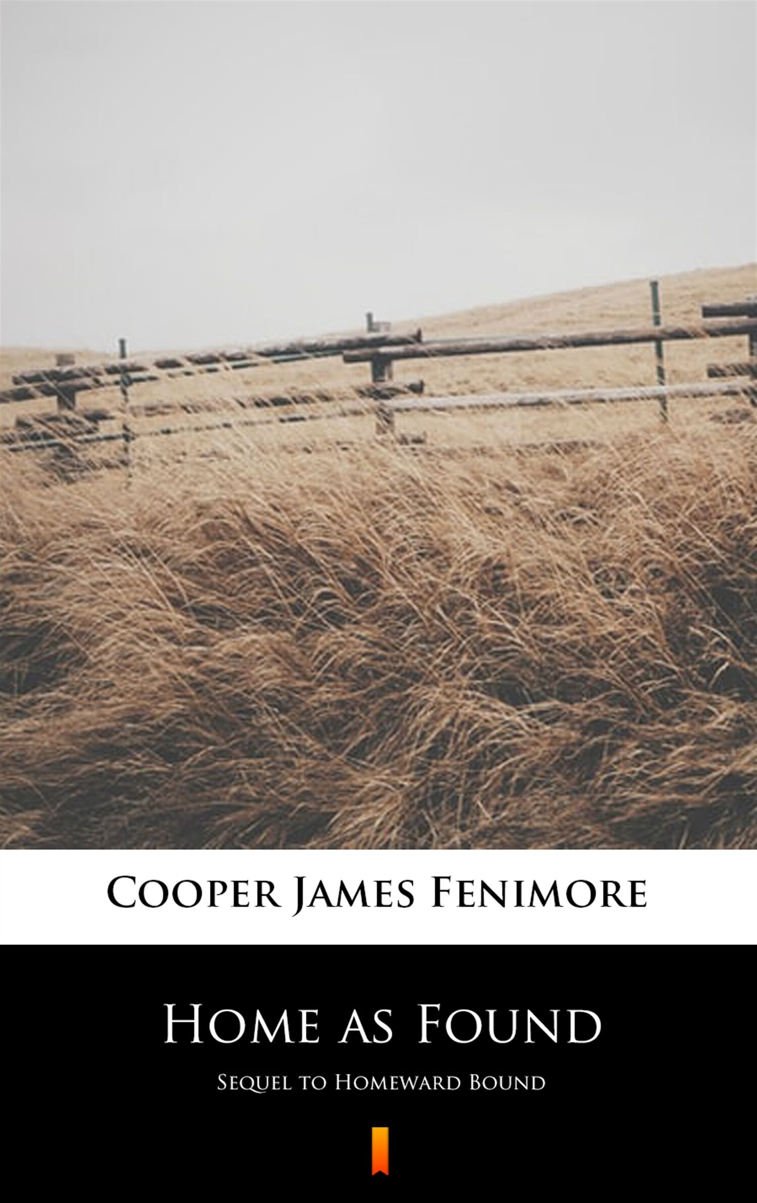 Home as Found (e-book)