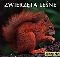 Zwierzęta leśne